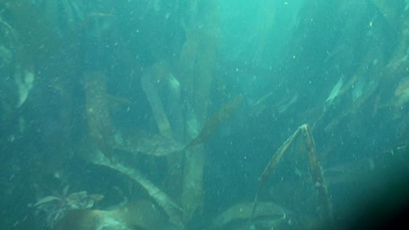 2009-09-23 11-53-05 03L.jpg